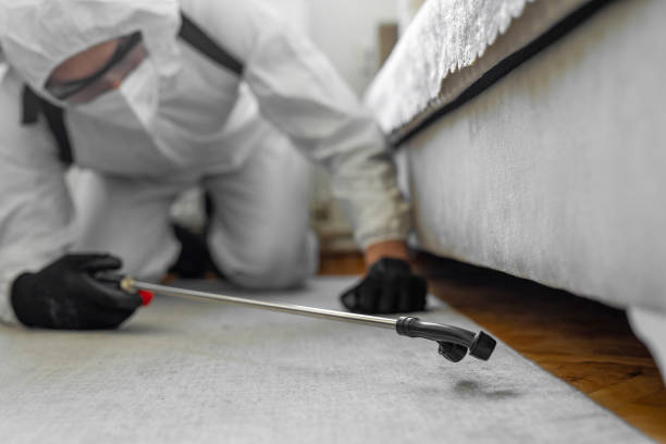 Professional Termite Control technician working in Gladeview, FL