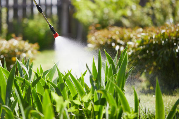 24/7 Emergency Termite Control experts in Gladeview, FL